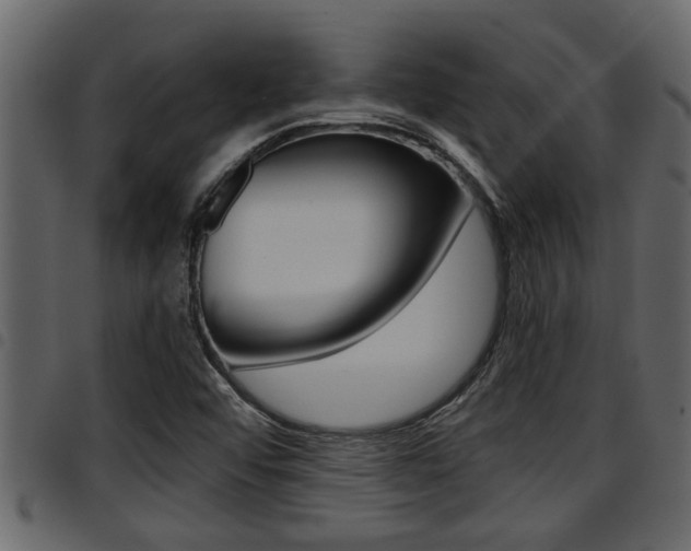 X0000094951456200711291054