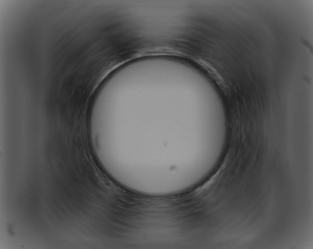 X0000094951457200711291054