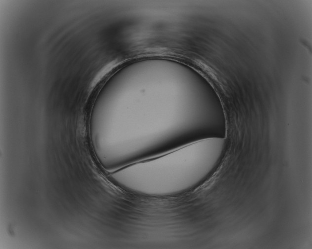 X0000094951458200711291054