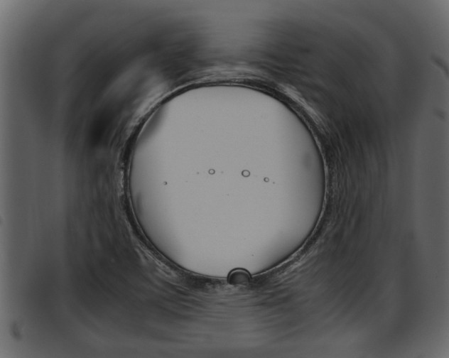 X0000094951459200711291054