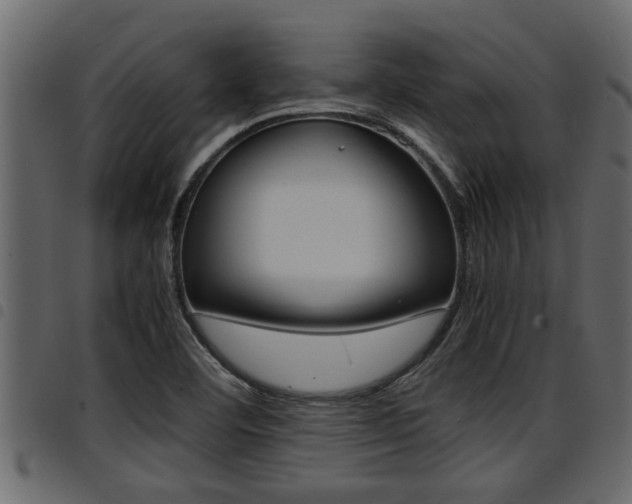 X0000094951460200711291054