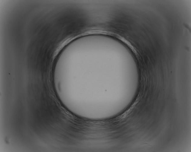 X0000094951461200711291054