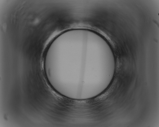 X0000094951462200711291054