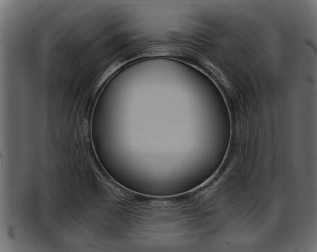X0000094951465200711291054
