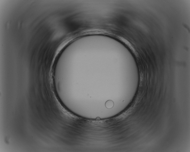 X0000094951466200711291054