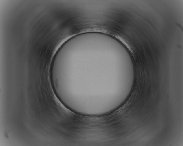X0000094951468200711291054