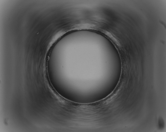 X0000094951469200711291054