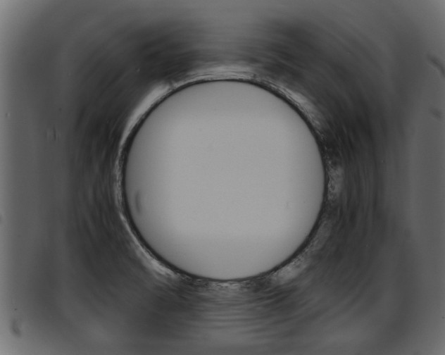 X0000094951470200711291054