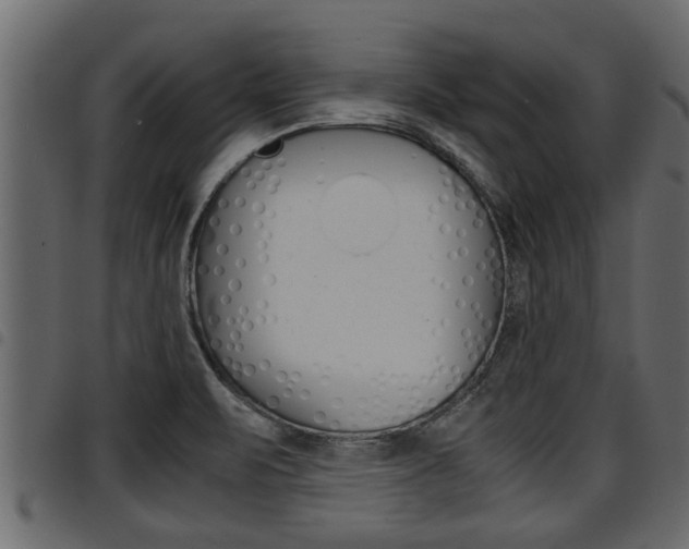 X0000094951471200711291054