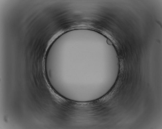 X0000094951474200711291054