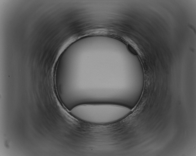 X0000094951475200711291054