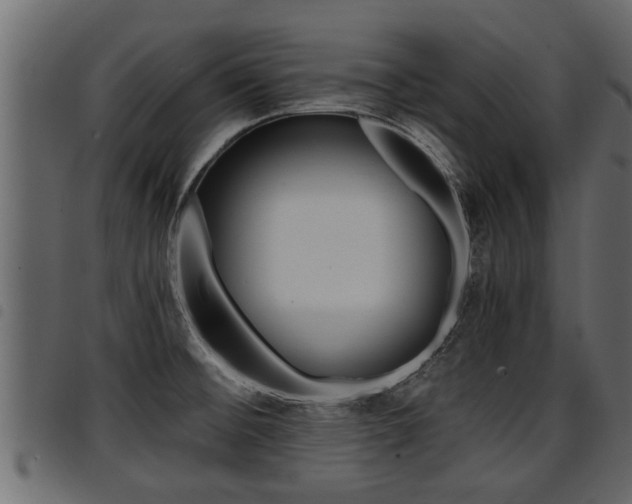 X0000094951476200711291054