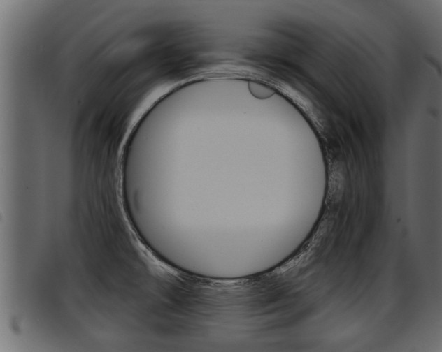 X0000094951478200711291054