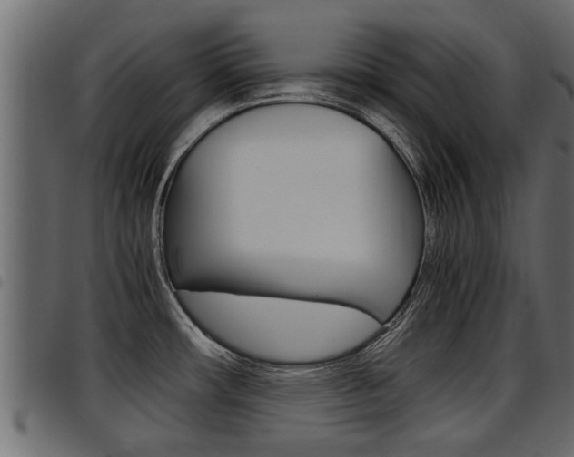 X0000094951482200711291054