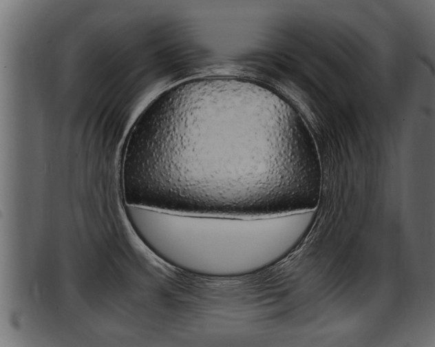 X0000094951483200711291054