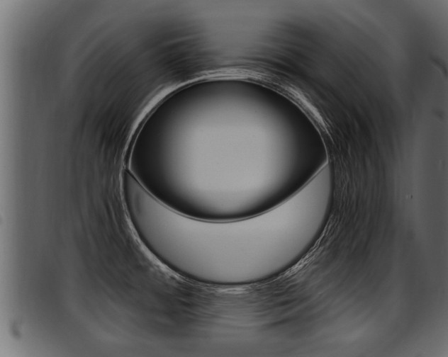 X0000094951484200711291054