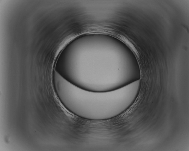 X0000094951485200711291054