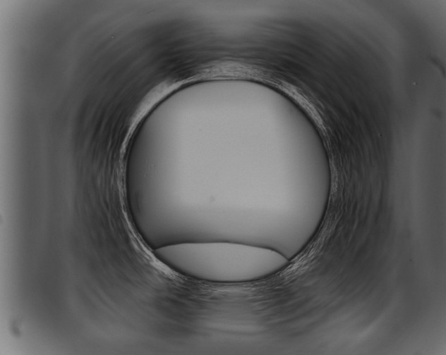 X0000094951486200711291054