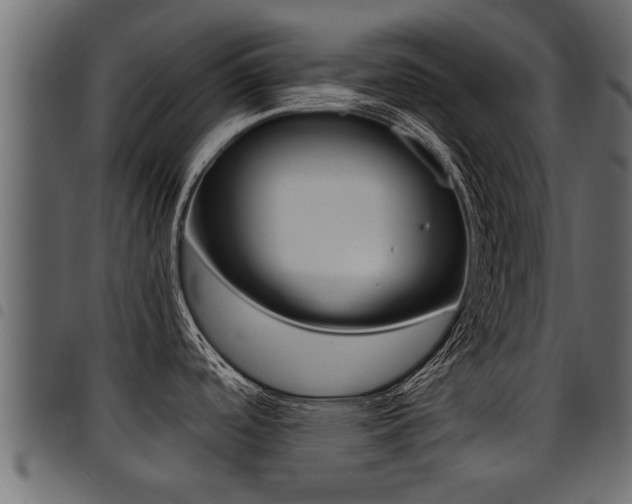X0000094951488200711291054