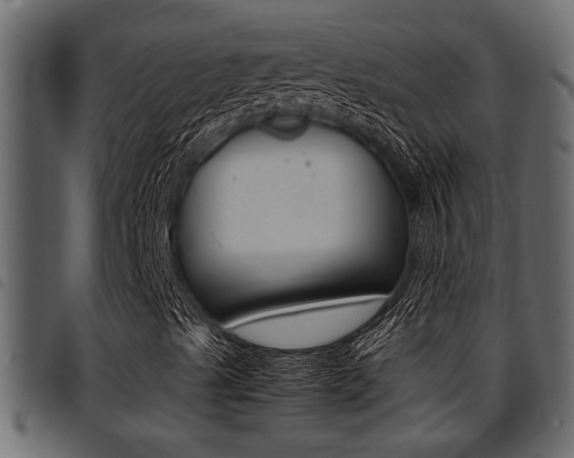 X0000094951489200711291053