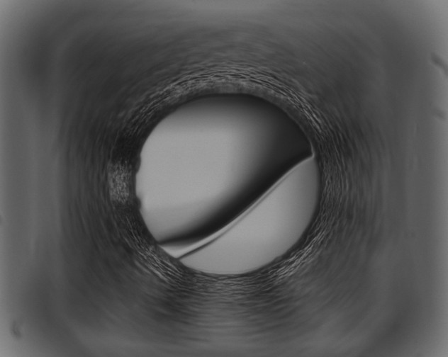 X0000094951490200711291053