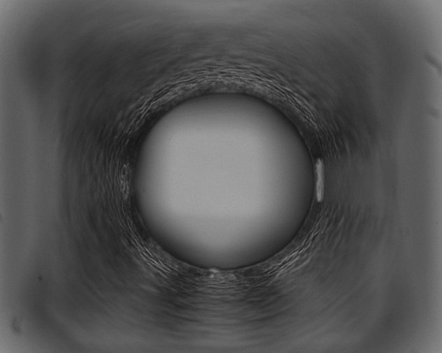 X0000094951491200711291053