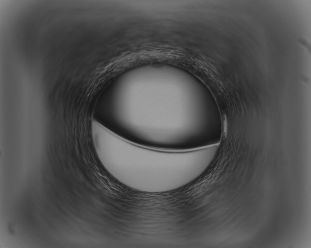 X0000094951492200711291053