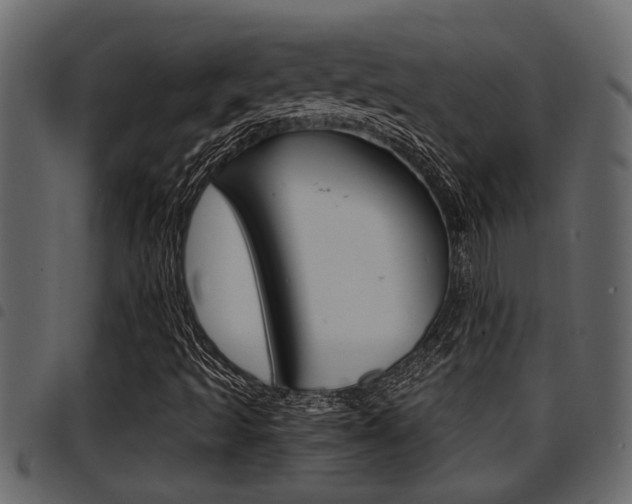 X0000094951493200711291053