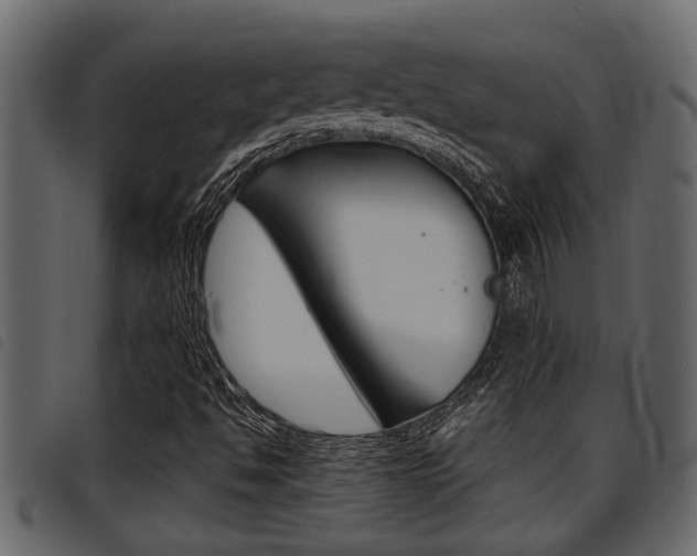 X0000094951494200711291053