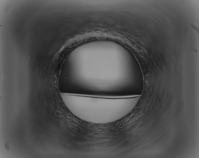 X0000094951495200711291053
