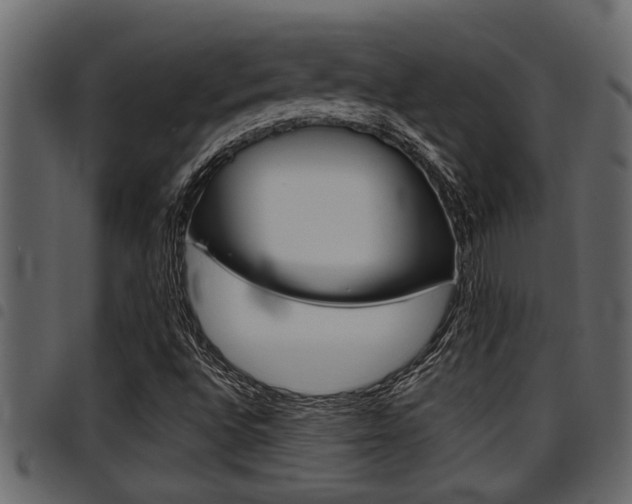 X0000094951496200711291053