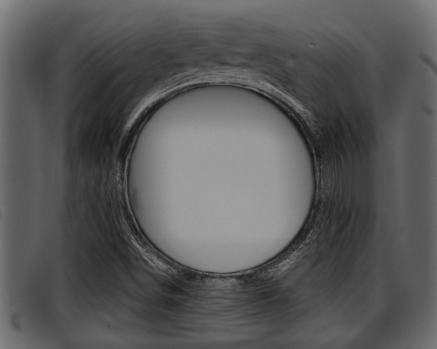 X0000094951498200711291053