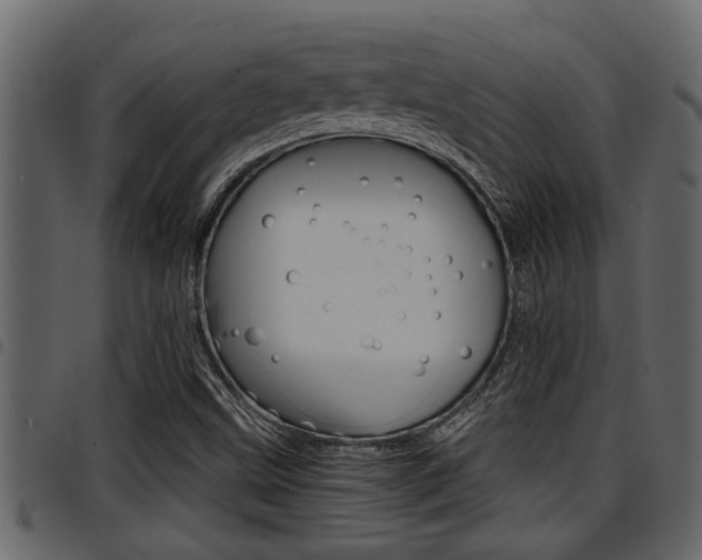 X0000094951499200711291053