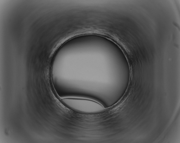 X0000094951500200711291053