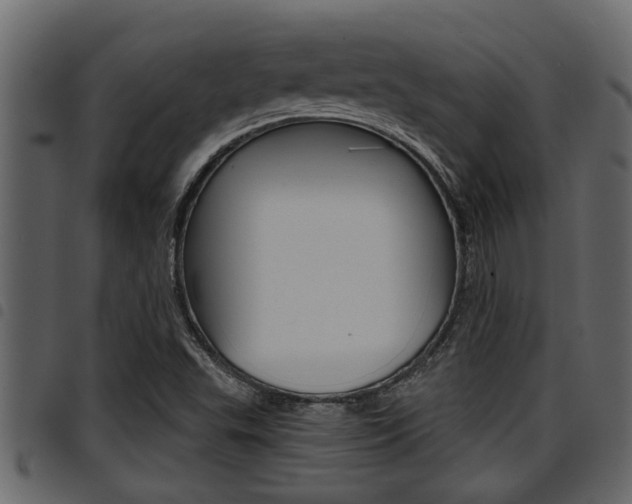 X0000094951503200711291053