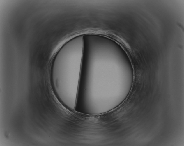 X0000094951504200711291053