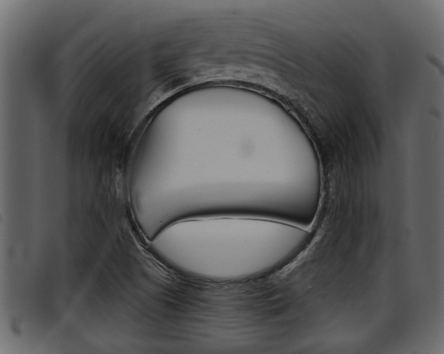 X0000094951505200711291053
