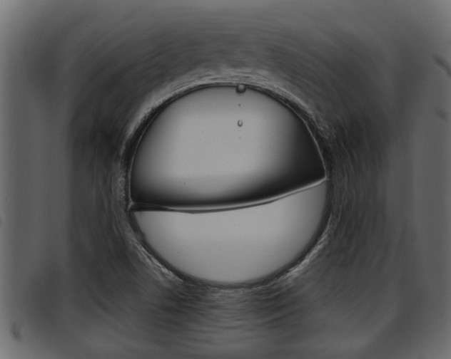X0000094951506200711291053
