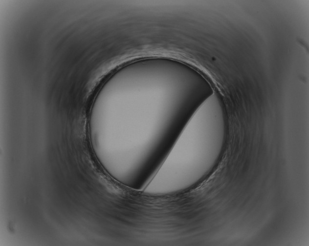 X0000094951507200711291053
