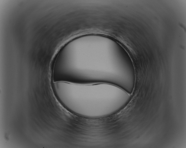 X0000094951508200711291053