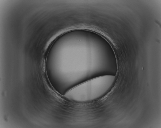 X0000094951510200711291053