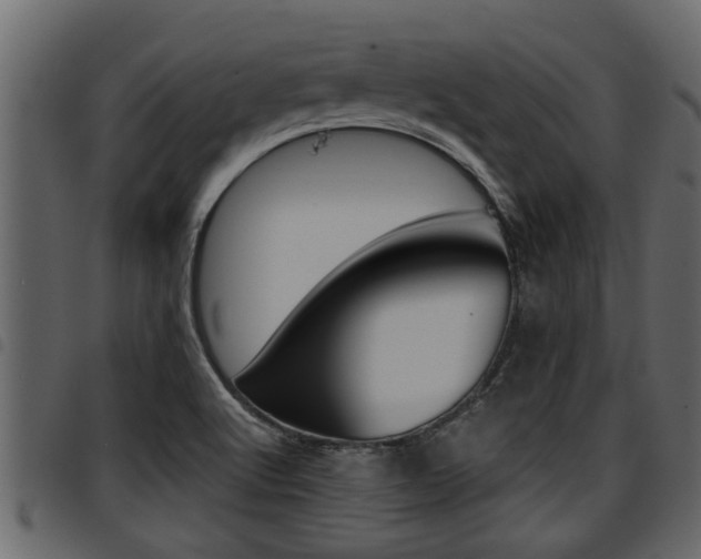 X0000094951512200711291053