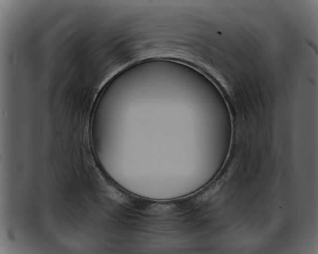 X0000094951513200711291053