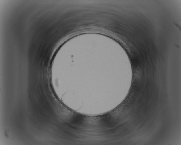 X0000094951514200711291053