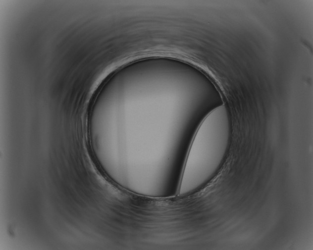 X0000094951515200711291053