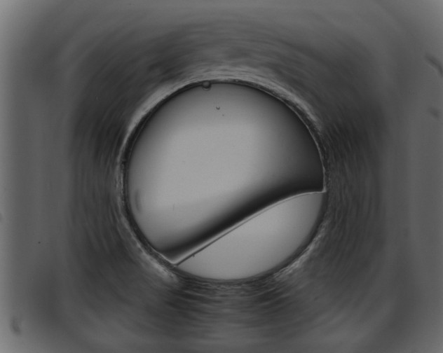 X0000094951517200711291053