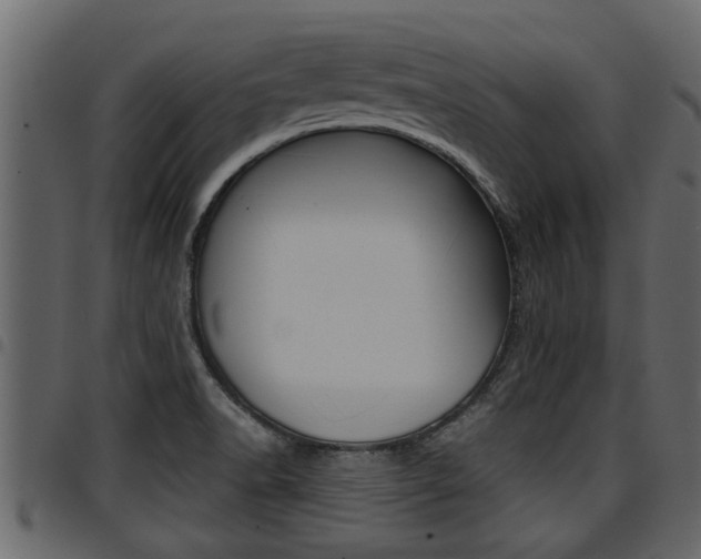 X0000094951518200711291053