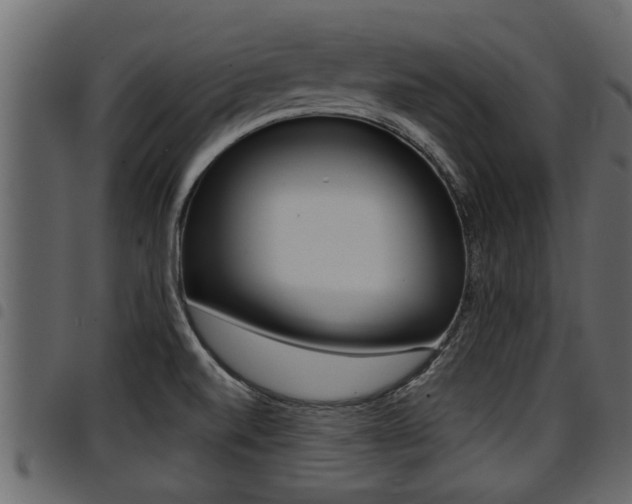 X0000094951520200711291053