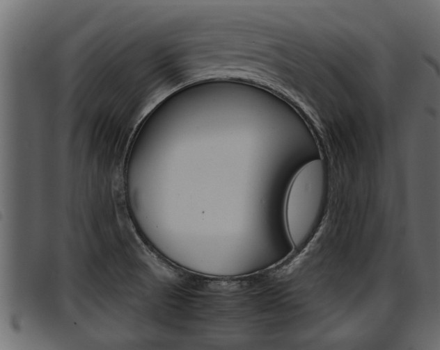 X0000094951521200711291054