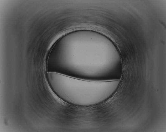 X0000094951523200711291054